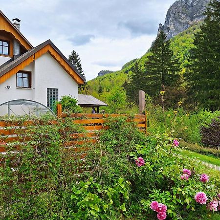 Appartement Ingreen House à Bohinjska Bela Extérieur photo