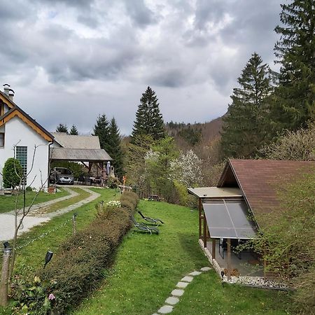 Appartement Ingreen House à Bohinjska Bela Extérieur photo