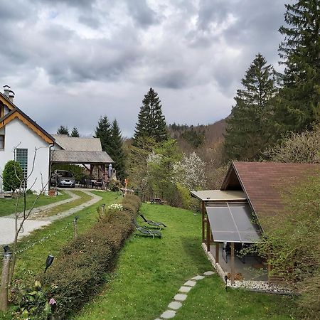 Ingreen House Bohinjska Bela Extérieur photo