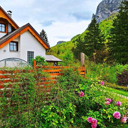 Ingreen House Bohinjska Bela Extérieur photo