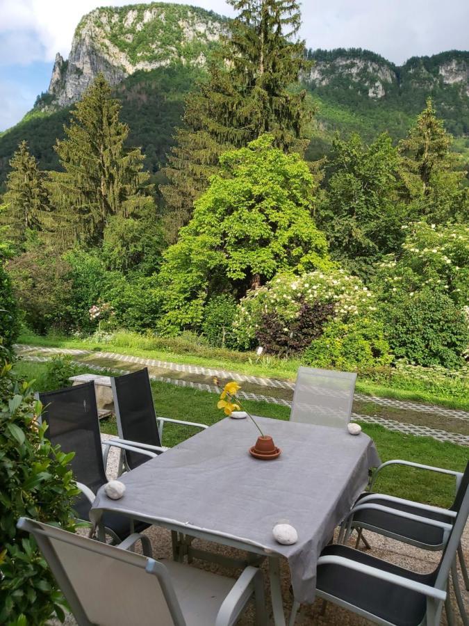 Ingreen House Bohinjska Bela Extérieur photo