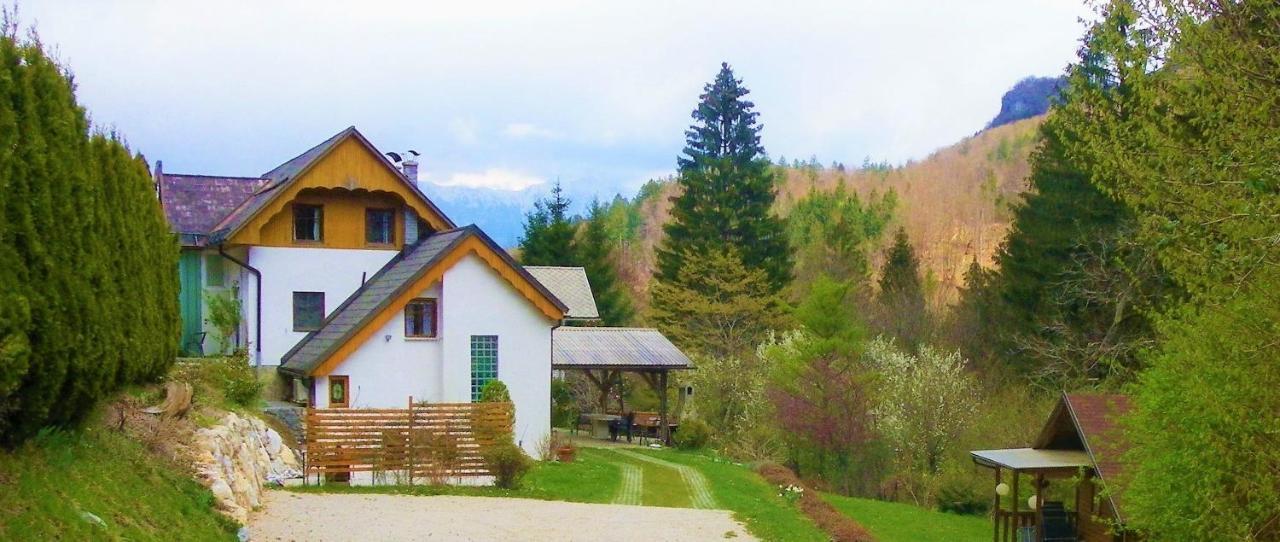 Appartement Ingreen House à Bohinjska Bela Extérieur photo