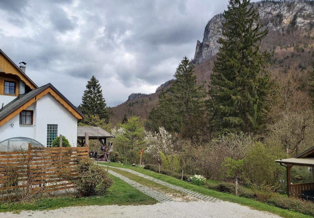 Appartement Ingreen House à Bohinjska Bela Extérieur photo