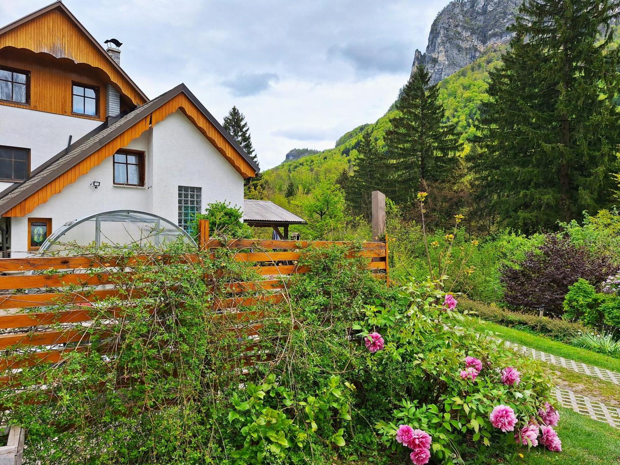 Appartement Ingreen House à Bohinjska Bela Extérieur photo