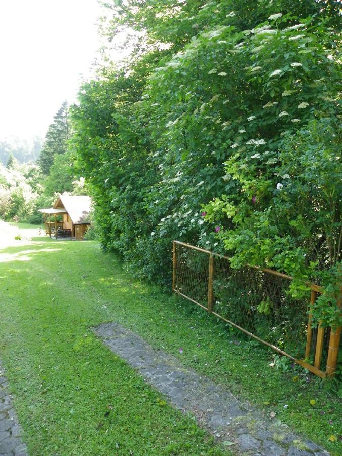 Appartement Ingreen House à Bohinjska Bela Extérieur photo